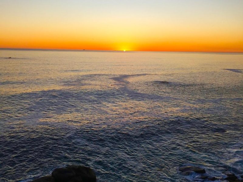 WhatsApp Image 2026-03-03 at 22.01.09 (1)