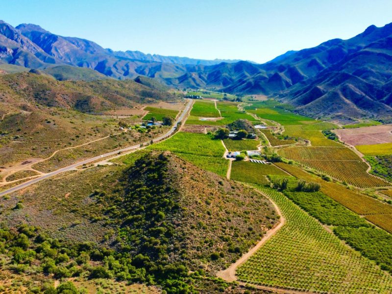 WhatsApp Image 2026-03-03 at 22.01.10 (3)