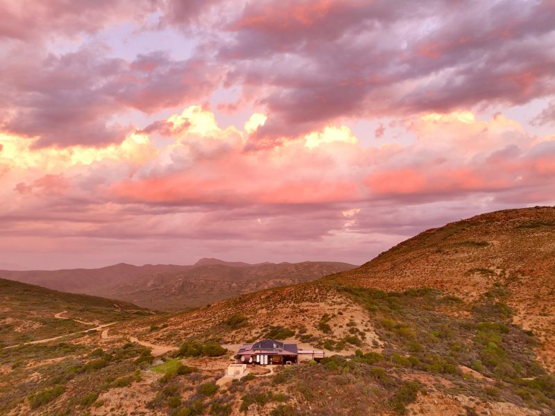 WhatsApp Image 2026-03-03 at 22.01.10 (4)