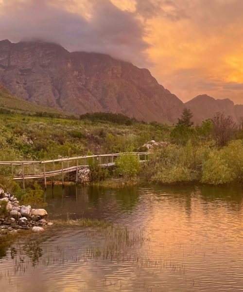 WhatsApp Image 2026-03-03 at 22.01.12 (1)